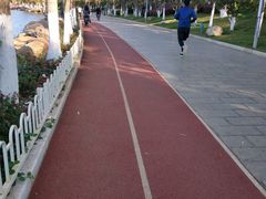 -洛龙公园