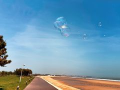 -阳光海岸露营公园