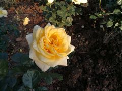 -人民公园(罗湖区)