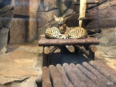 -哈尔滨波塞冬海底世界