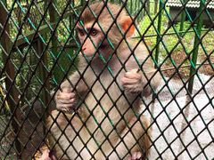 -藏龙百瀑风景区