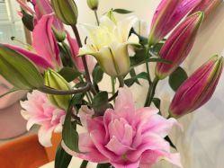 -FUMEIHUI·科技美肤·美体SPA