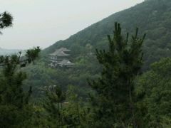 -石老人观光园