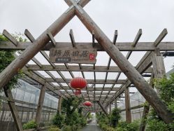 点击看大图 -麦粒鸟亲子游