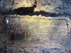 -广富林郊野公园