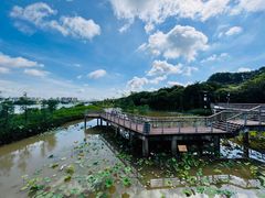 -立新湖公园