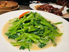 -汤城小厨•粤菜•靓汤(苏州街店)