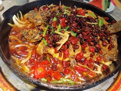 -老板恋上鱼(恒隆广场店)