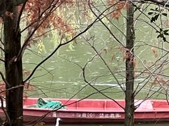 -沐仙湖湿地公园