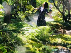 -Chom Cafe and Restaurant