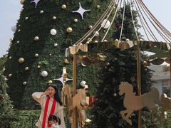 -中旅阿那亚九龙湖·公主酒店