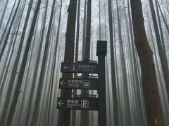 -山王坪喀斯特国家生态公园