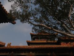 -故宫博物院(故宫)