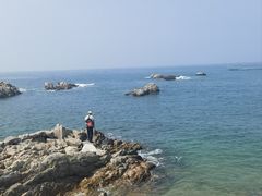 -小麦岛公园