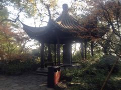景点-六和塔文化公园