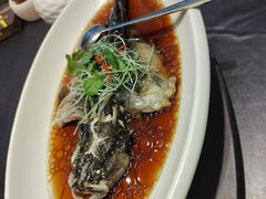 -骏莱海鲜鱼港(五角场店)
