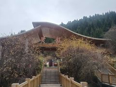 -黄龙山原始森林景区