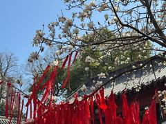 -长春观