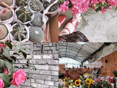 -金科花卉市场