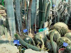 -国家植物园南园