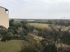 -上海崇明金茂凯悦酒店