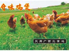 奇味鸡煲-奇味鸡煲(麦地店)