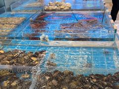 -新丁香海鲜酒店(银海商贸城店)