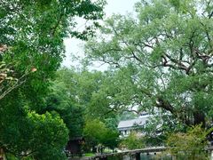 -楠溪江风景名胜区