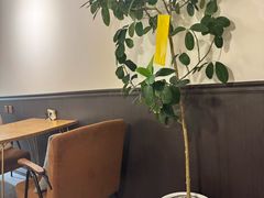 -沏点Trattoria意大利餐厅(新街口店)