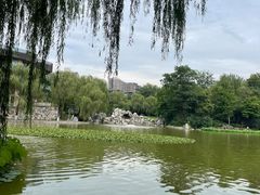 -西安市长乐公园