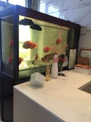 -北京米扬丽格医疗美容·联合丽格鼻整形中心