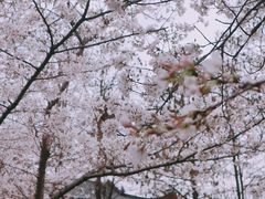 -堤角公园