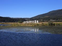 -腾冲北海湿地