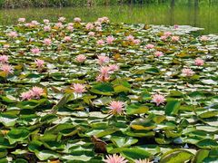 -白鹭湾湿地公园