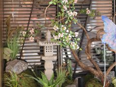 -上海市第六人民医院(临港院区)