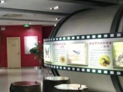 -上海昆虫博物馆