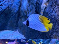 -成都浩海立方海洋公园