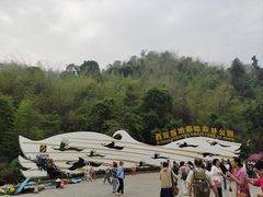 -西双版纳原始森林公园