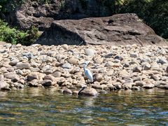 -九曲溪竹筏码头