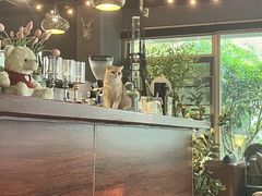 -咖法森林·咖啡  酒吧(天河店)