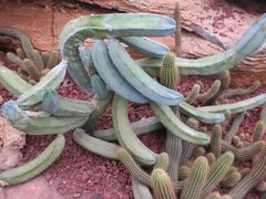 -南通洲际绿博园