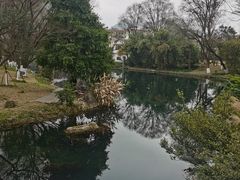 -花溪公园