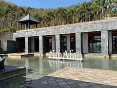 -日落吧·海景咖啡厅·餐酒吧·鸡尾酒·下午茶·乐队表演·浪漫夕阳·三亚文华东方酒店