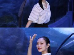 -左海海底世界