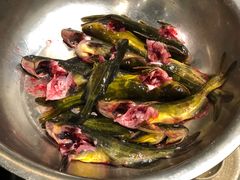 -肖肖酸萝卜鱼火锅(总店)