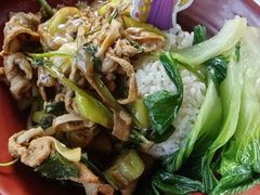 -Tangled Tree Tavern 老藤树食栈