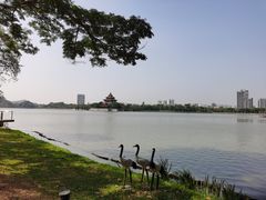 -顺峰山公园