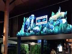 -夜间野生动物园