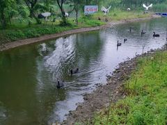 -长白岛森林公园