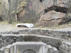 -北京凤凰岭